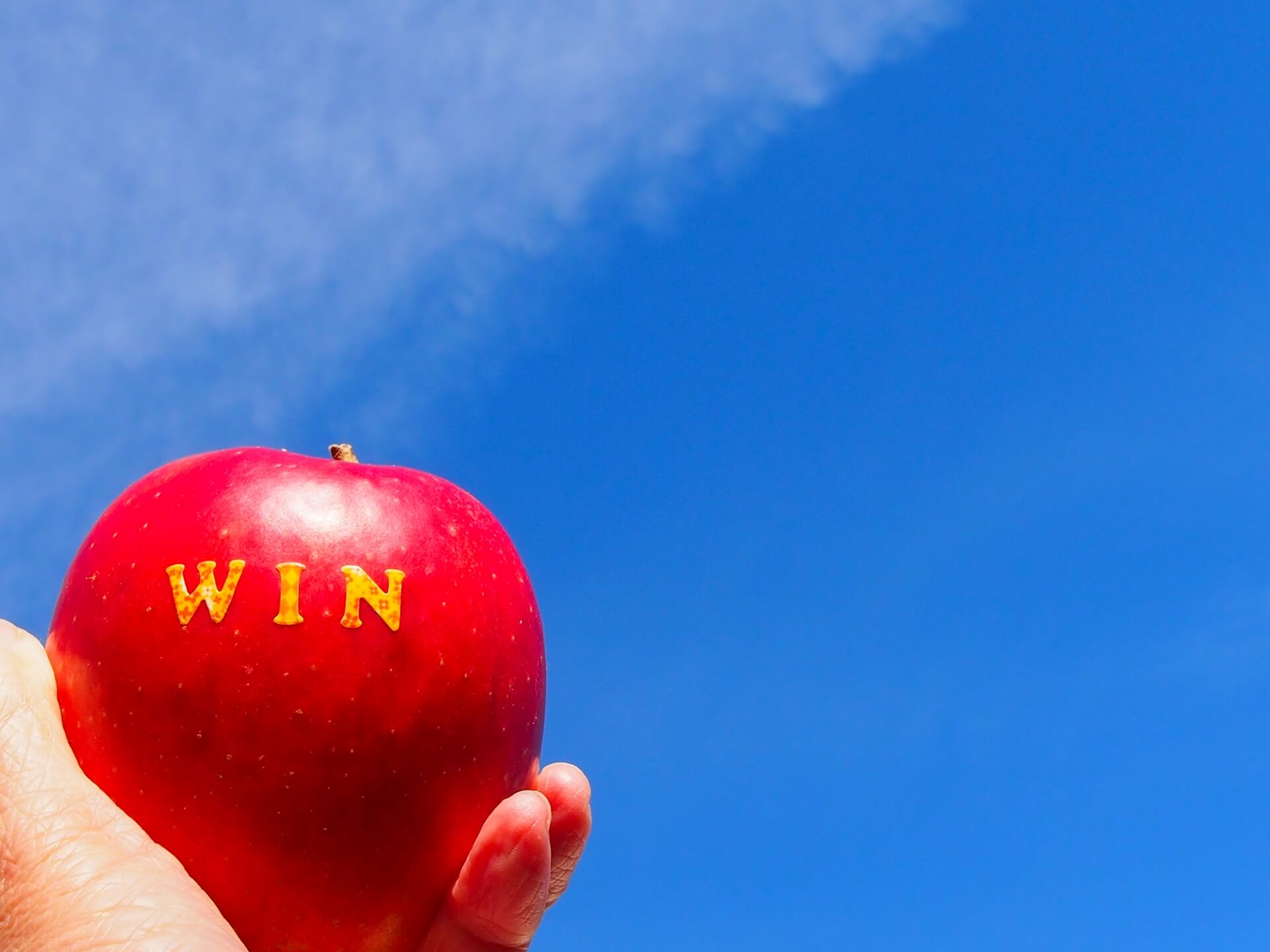 同志社小学校 願書 書き方